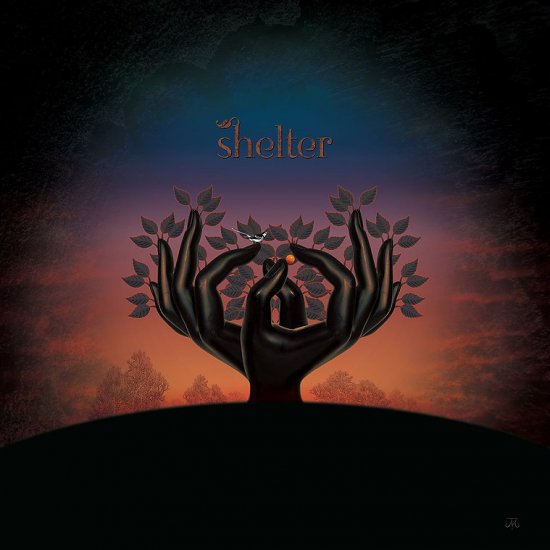 LAUGHING STOCK -SHELTER -LP - Clicca l'immagine per chiudere
