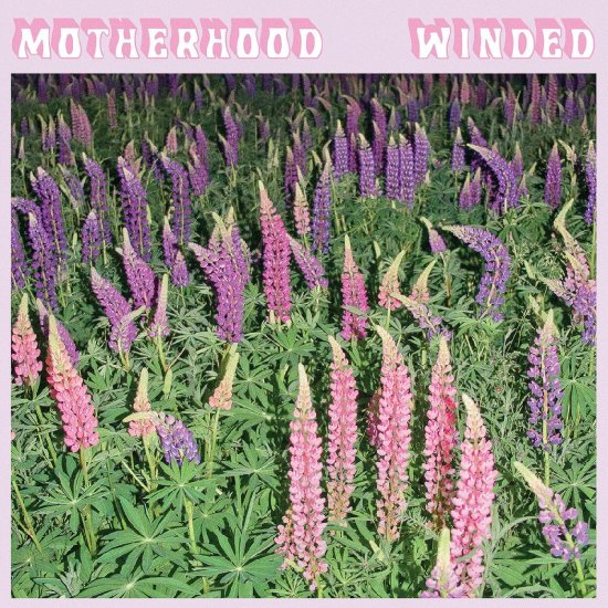 MOTHERHOOD -WINDED -CD - Clicca l'immagine per chiudere