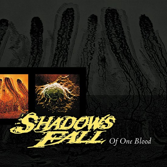 SHADOWS FALL -OF ONE/YEL-LP£ - Clicca l'immagine per chiudere
