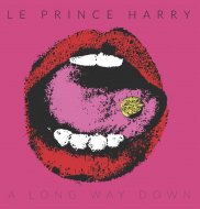 LE PRINCE HARRY-A LONG WAY-LP
