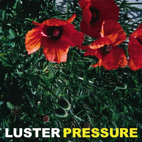 LUSTER -PRESSURE -LP - Clicca l'immagine per chiudere