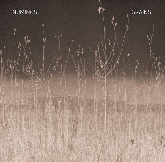 NUMINOS -GRAINS -LP - Clicca l'immagine per chiudere