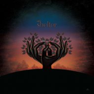 LAUGHING STOCK -SHELTER -LP