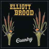 BROOD, ELLIOTT -COUNTRY -LP