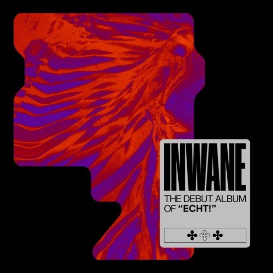 ECHT! -INWANE -LP - Clicca l'immagine per chiudere