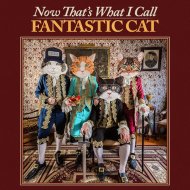FANTASTIC CAT -NOW THAT'S-LP