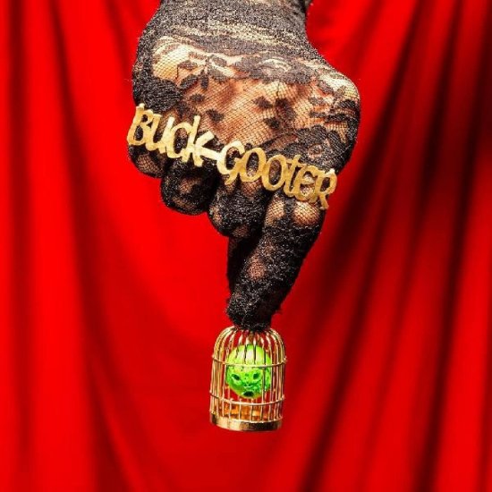 BUCK GOOTER -HEAD IN A -LP - Clicca l'immagine per chiudere