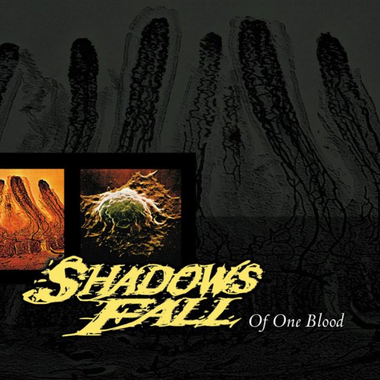 SHADOWS FALL -OF ONE/RED-LP - Clicca l'immagine per chiudere