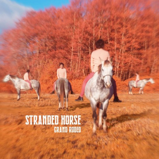 STRANDED HORSE -GRAND RODE-CD - Clicca l'immagine per chiudere