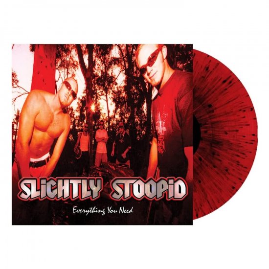 SLIGHTLY STOOPI-EVERYTHING-LP - Clicca l'immagine per chiudere